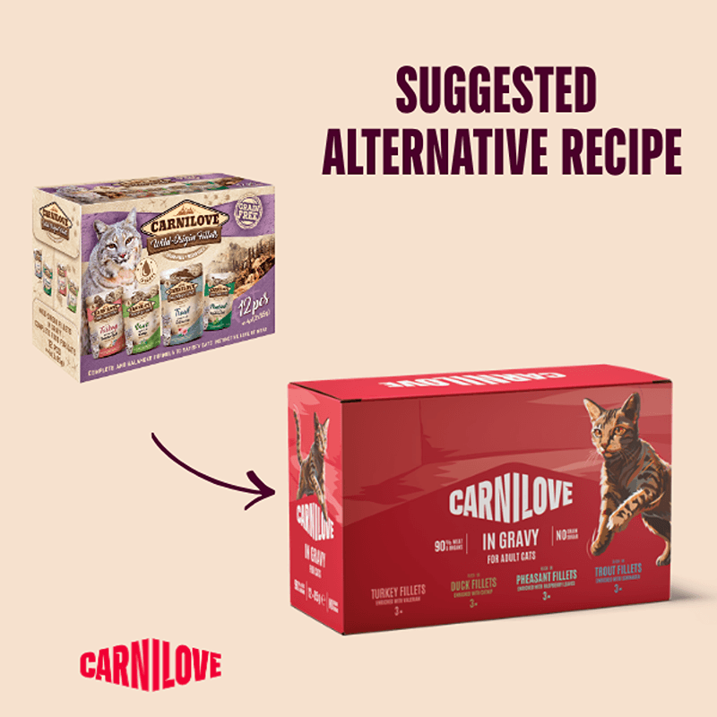 Two Carnilove Gravy Multipack Cat Food Pouch 12x85g boxes with an arrow, grain free.