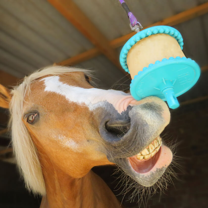 Gifts Under £20_horse with horselick