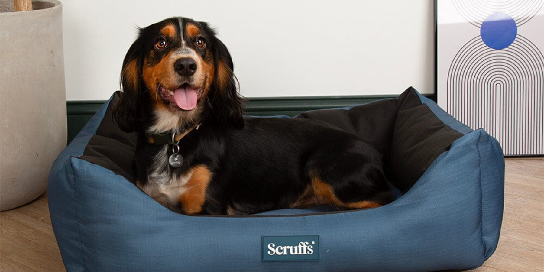 scruffs dog bed - PetnPony