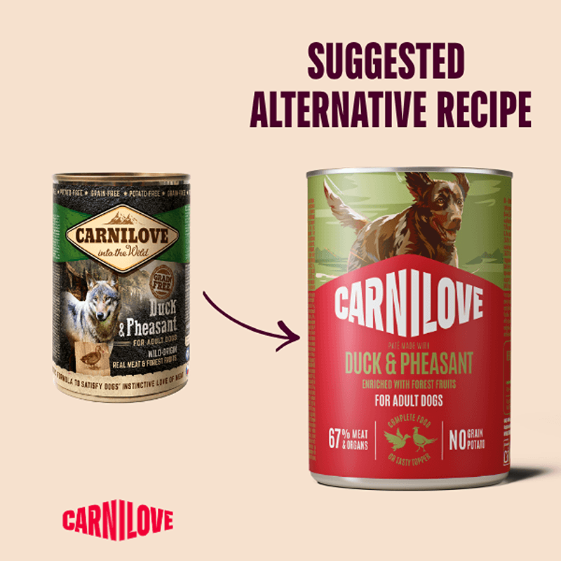 Two Carnilove Duck &amp; Pheasant Wet Food Tins for adult dogs, plus a recipe suggestion.