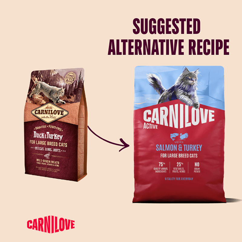 Two cat food bags with an arrow suggesting Carnilove Active Salmon & Turkey Large Breed as an alternative.