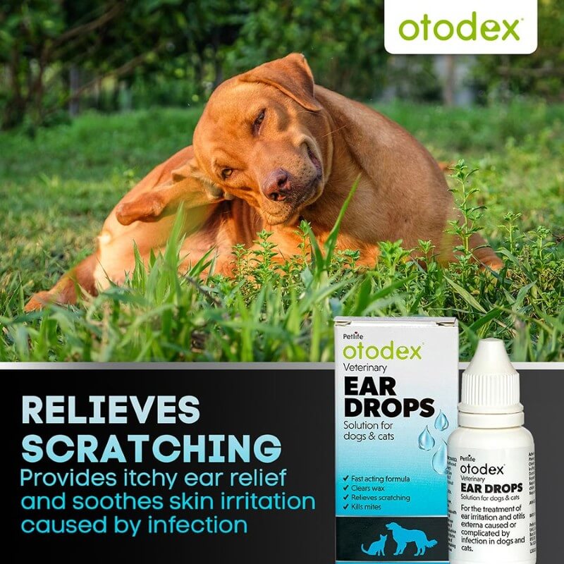 Petlife Otodex Veterinary Eardrops 14ml Dogs and Cats