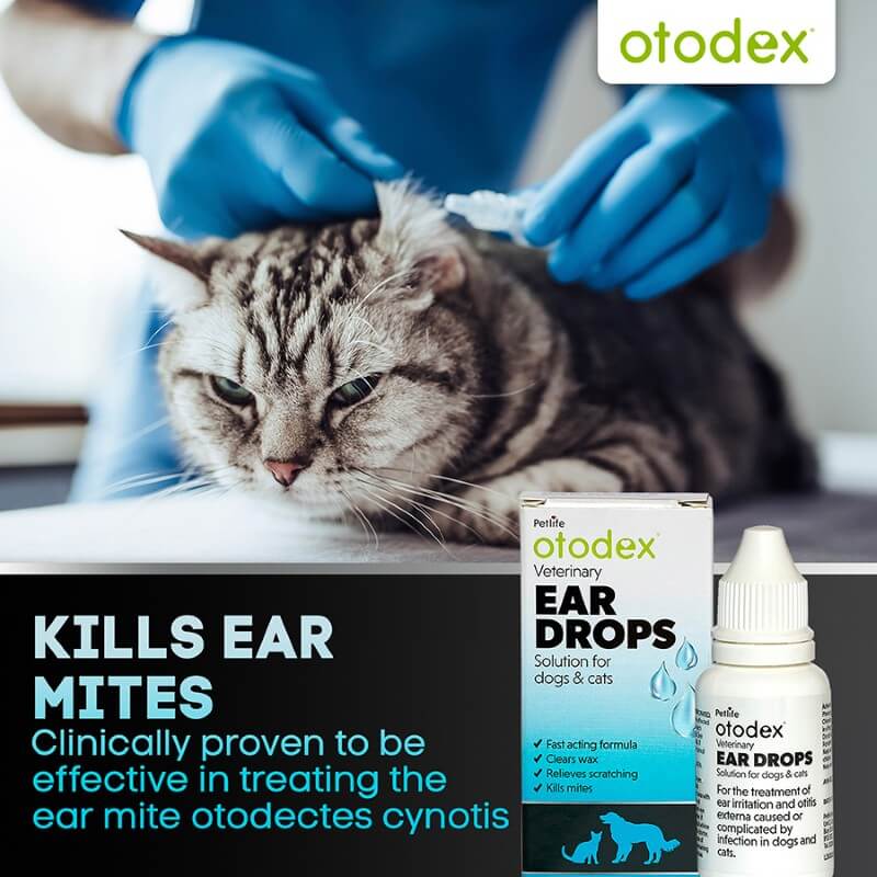 Petlife Otodex Veterinary Eardrops 14ml Dogs and Cats