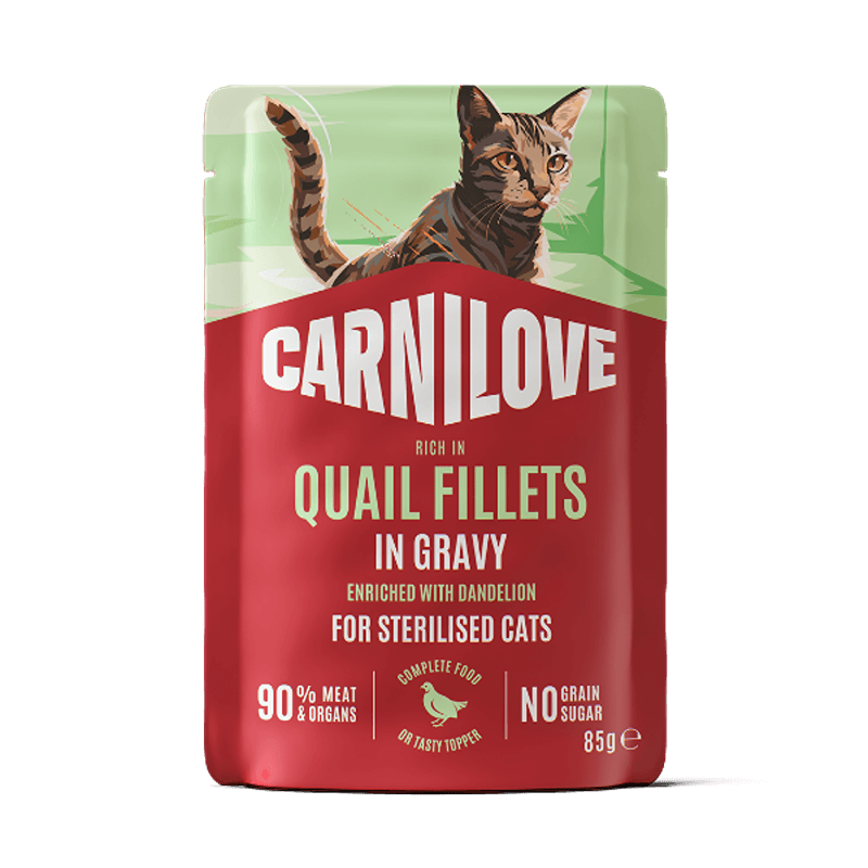 Carnilove Gravy Quail with Dandelion Cat Pouch 24x85g, features an illustrated cat on pack.