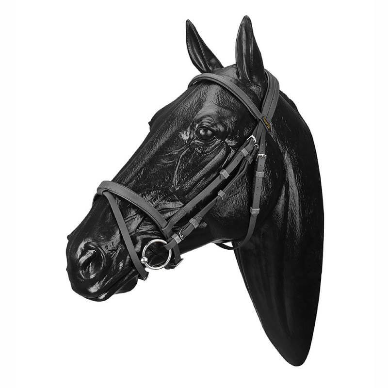 Black horse head model wears Wintec Bridle with Flash Black against a white background.