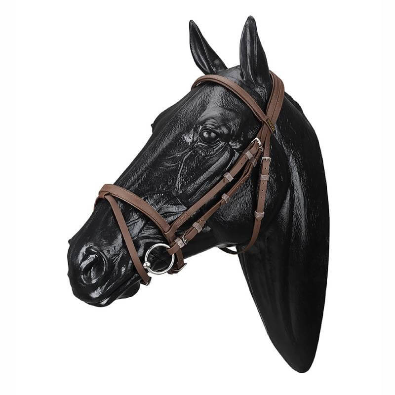 Wintec Bridle with Flash Brown by Wintec on a black horse head model, shown in profile.