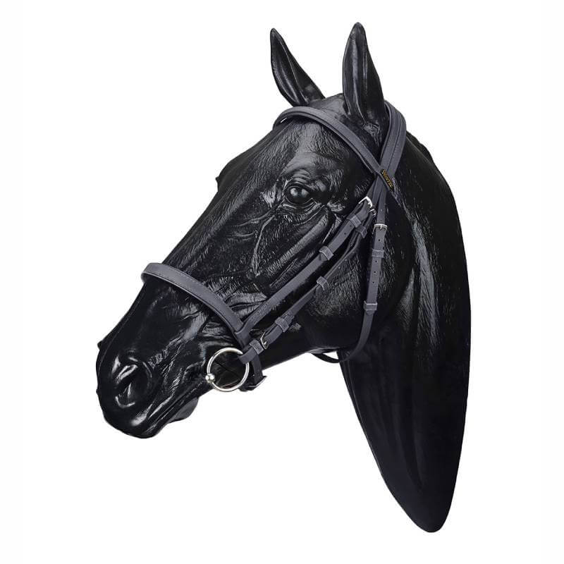 Black horse model head in profile with a Wintec Bridle Black by Wintec on a white background.