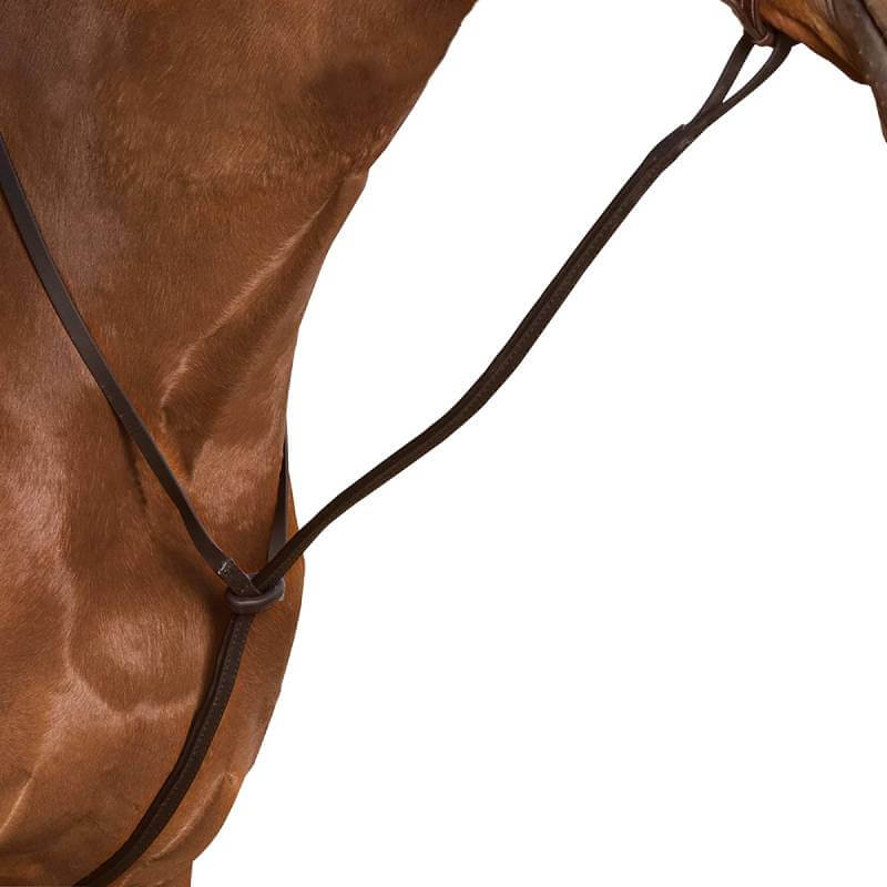 Close-up of a horse in Wintec bridleware and Wintec Standing Martingale Brown, plain background.