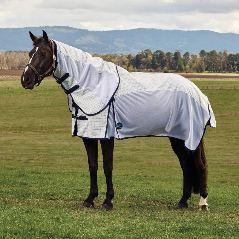 A black horse wears a Weatherbeeta Airstream Combo Neck Rug on green grass with hills behind.