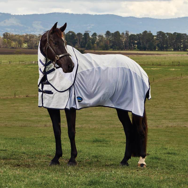 A black horse in a Weatherbeeta Airstream Combo Neck Rug, White/Navy, grazes before hills.
