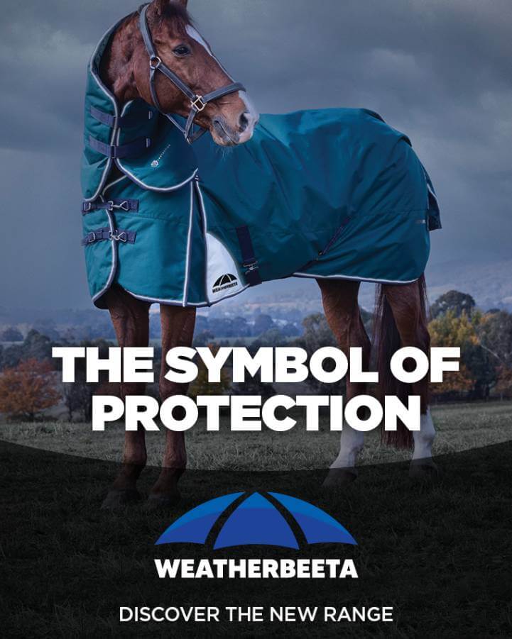 Horse wearing a blue Weatherbeeta rug with text 'The Symbol of Protection' and 'Discover the New Range'.
