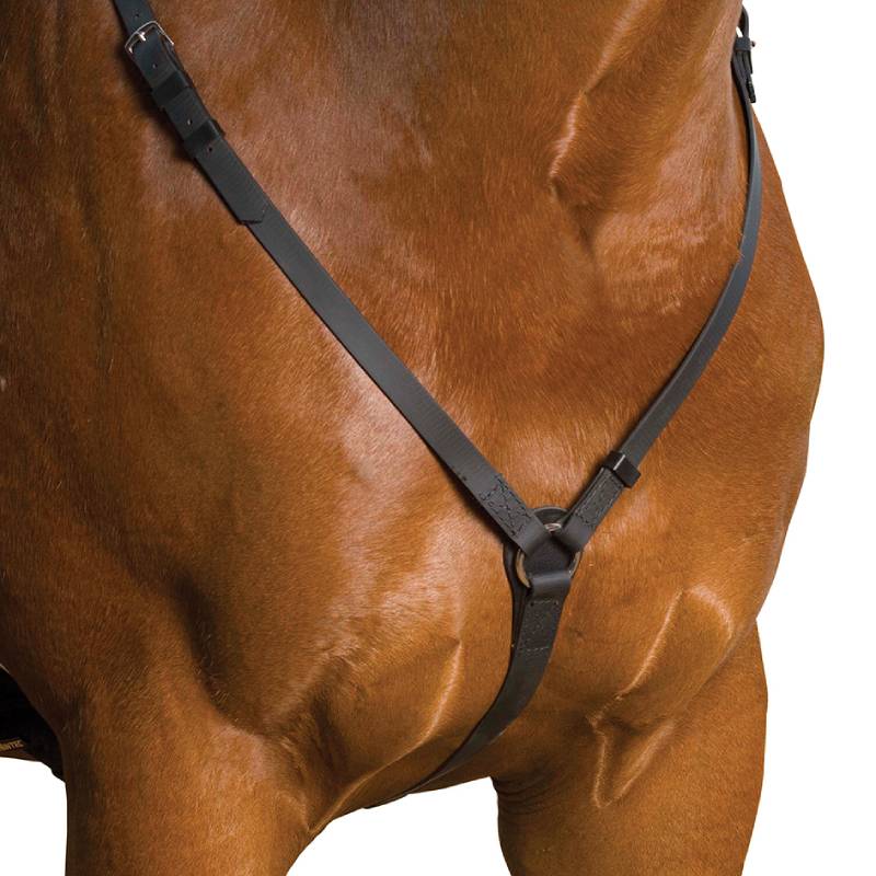 Wintec Breastplate Black-Pet n Pony-Wintec