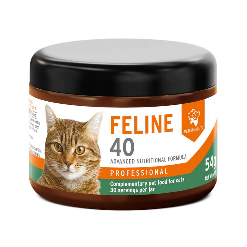 Aniforte Feline 40 All-in-One 54g jar—natural supplement with immune support for cats.