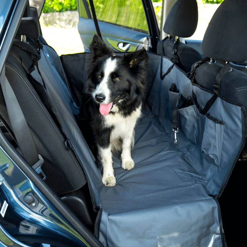 Black and white dog on a Henry Wag Pet Car Hammock in the backseat of a car.