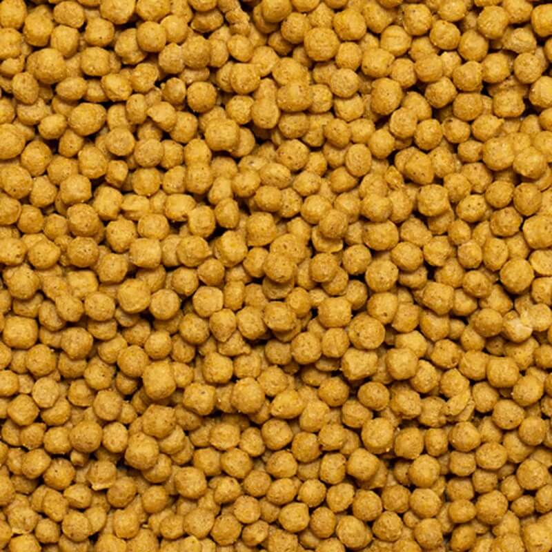 Close-up of Psittacus Mini, small round brownish-orange cockatiel food pellets by Psittacus.