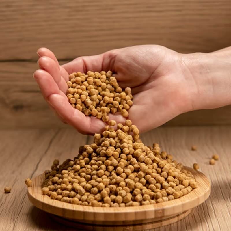Pouring Psittacus Mini pellets onto a plate for a balanced parrot diet.