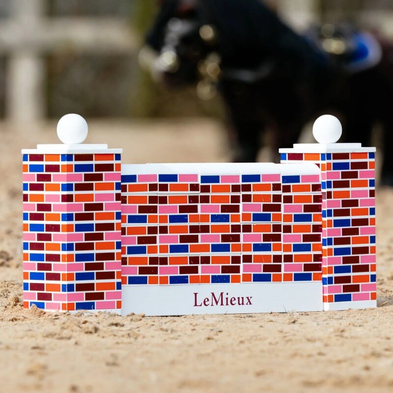 LeMieux Toy Pony Puissance Wall Multi
