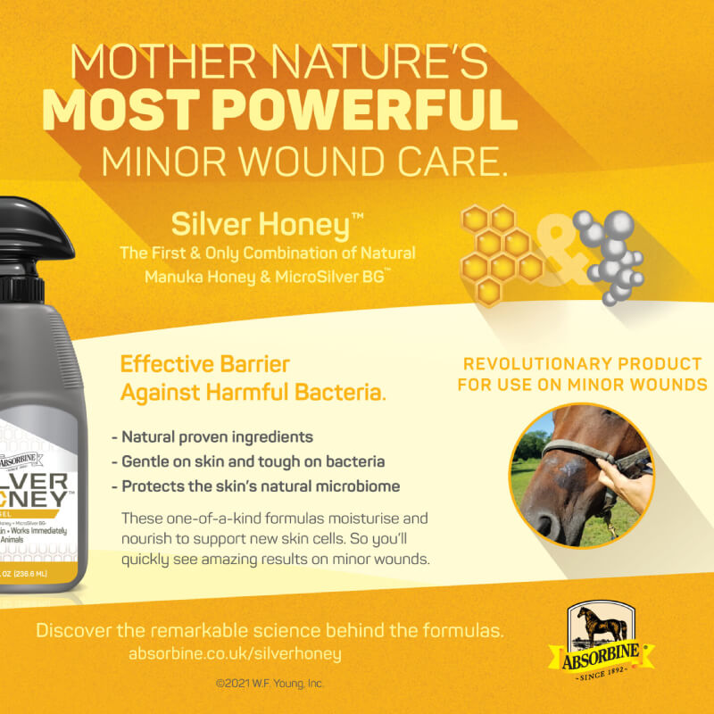 Absorbine Silver Honey Rapid Wound Repair Ointment 2oz with Manuka honey & MicroSilver BG.