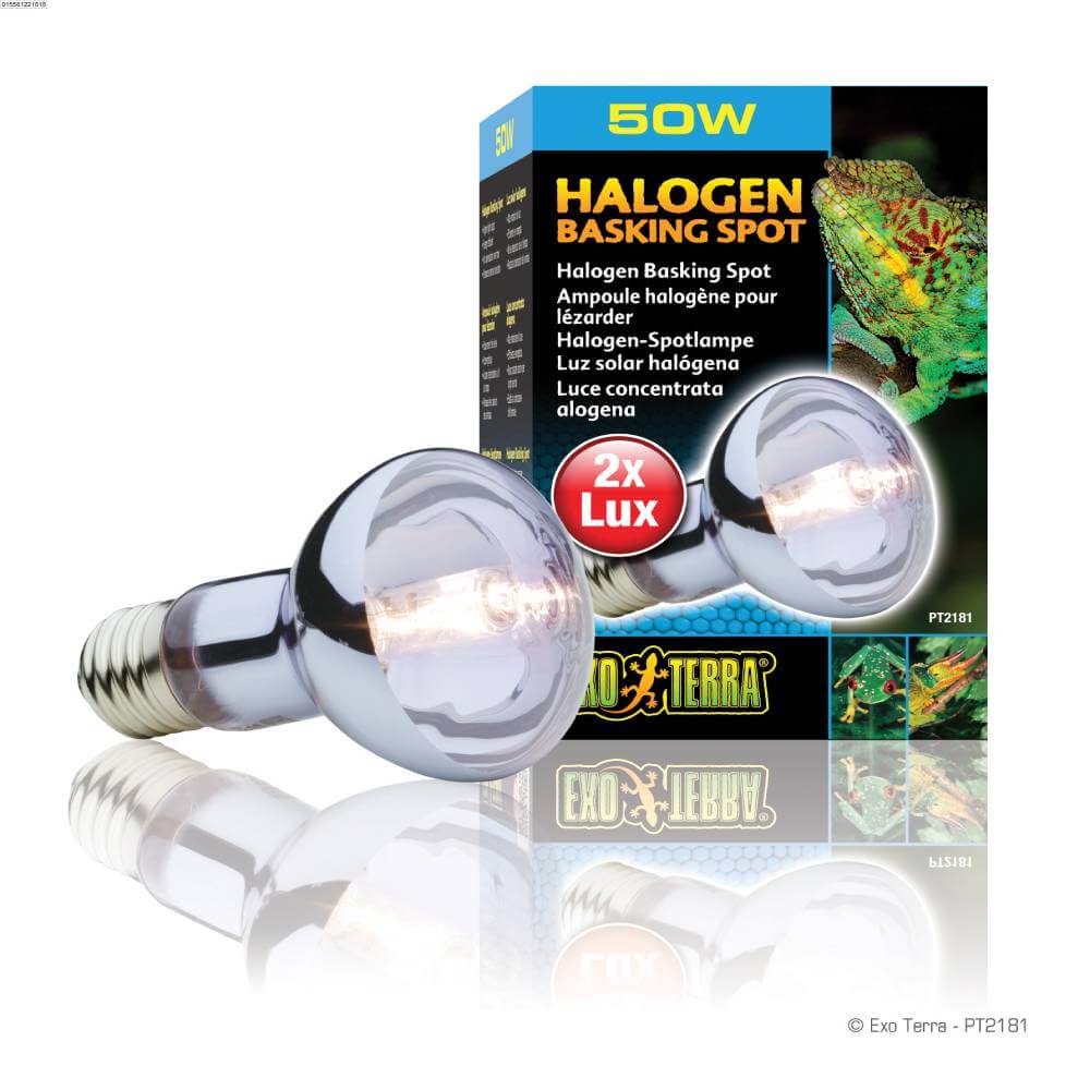 Exo Terra Halogen Basking Spot 50W