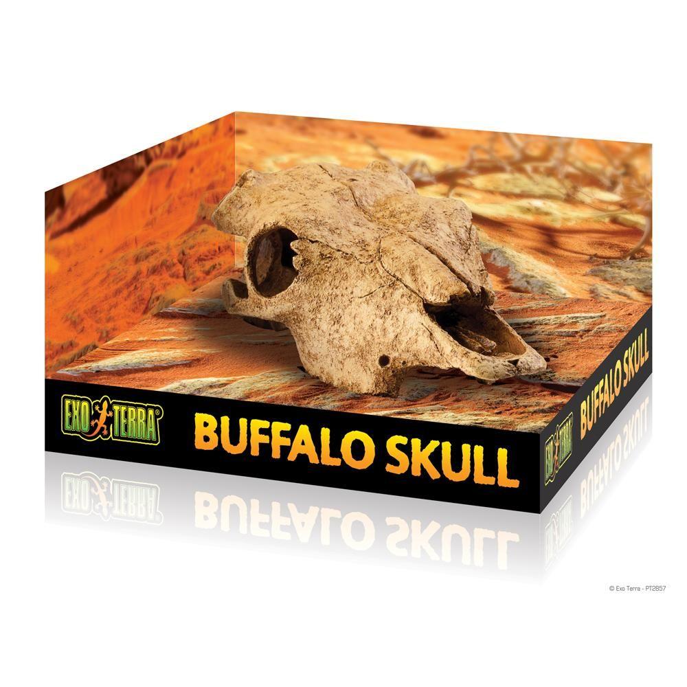 Exo Terra Buffalo Skull-Pet n Pony-Exo Terra