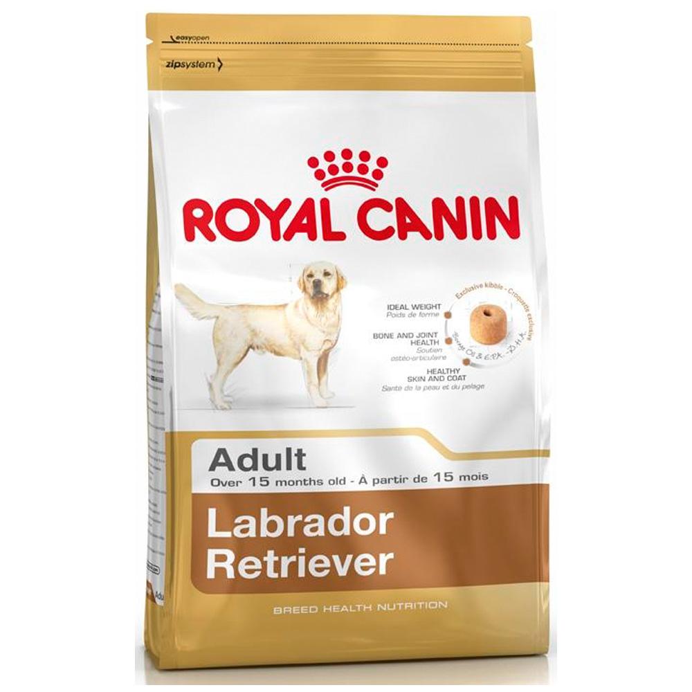 Royal Canin Labrador Retriever