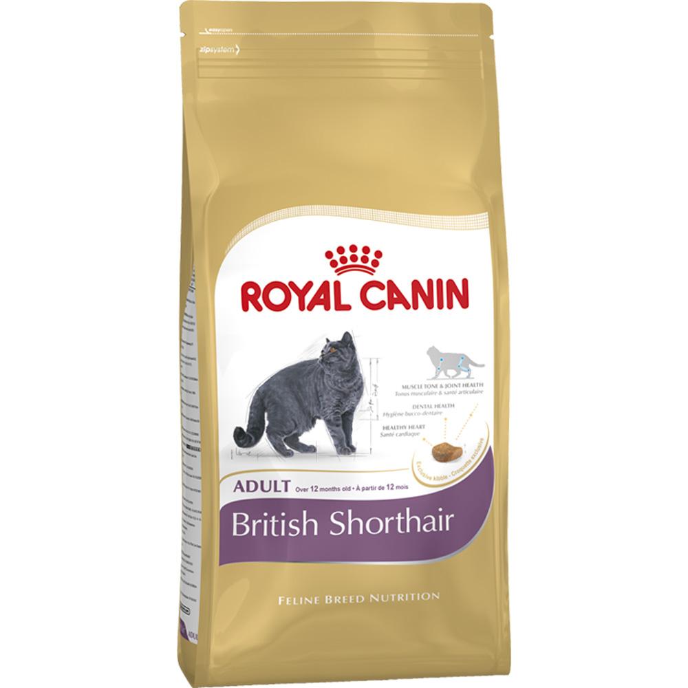 Royal Canin British Shorthair