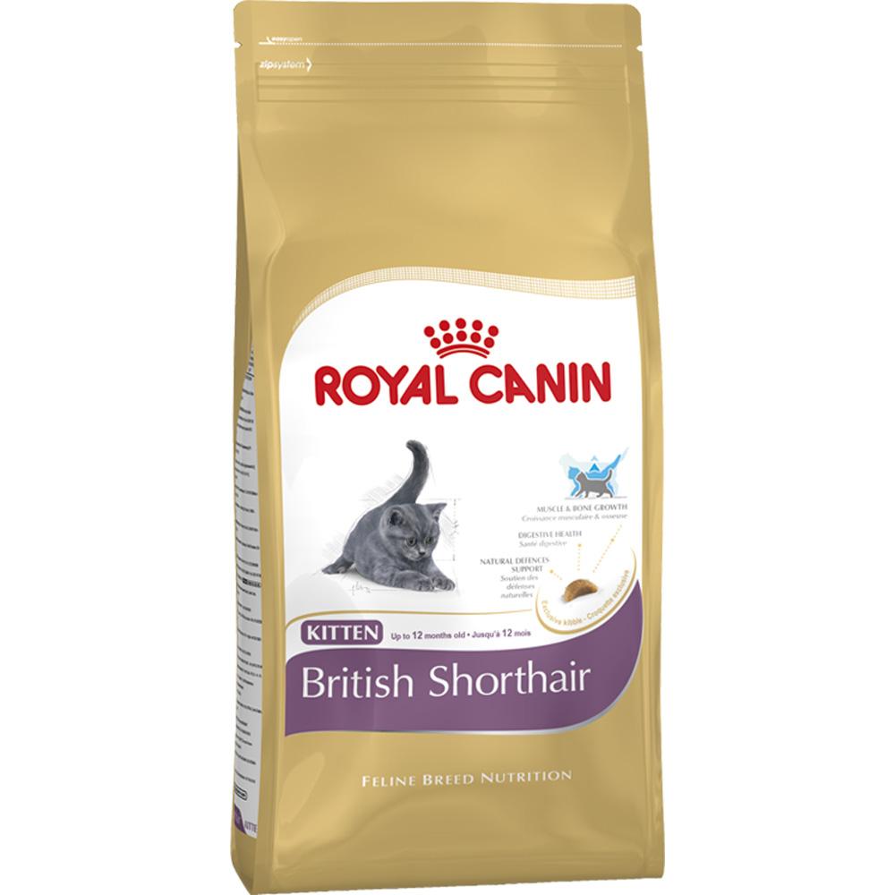 Royal Canin Kitten British Shorthair