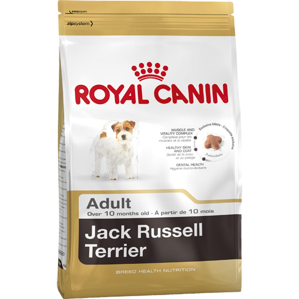 Royal Canin Jack Russell Terrier