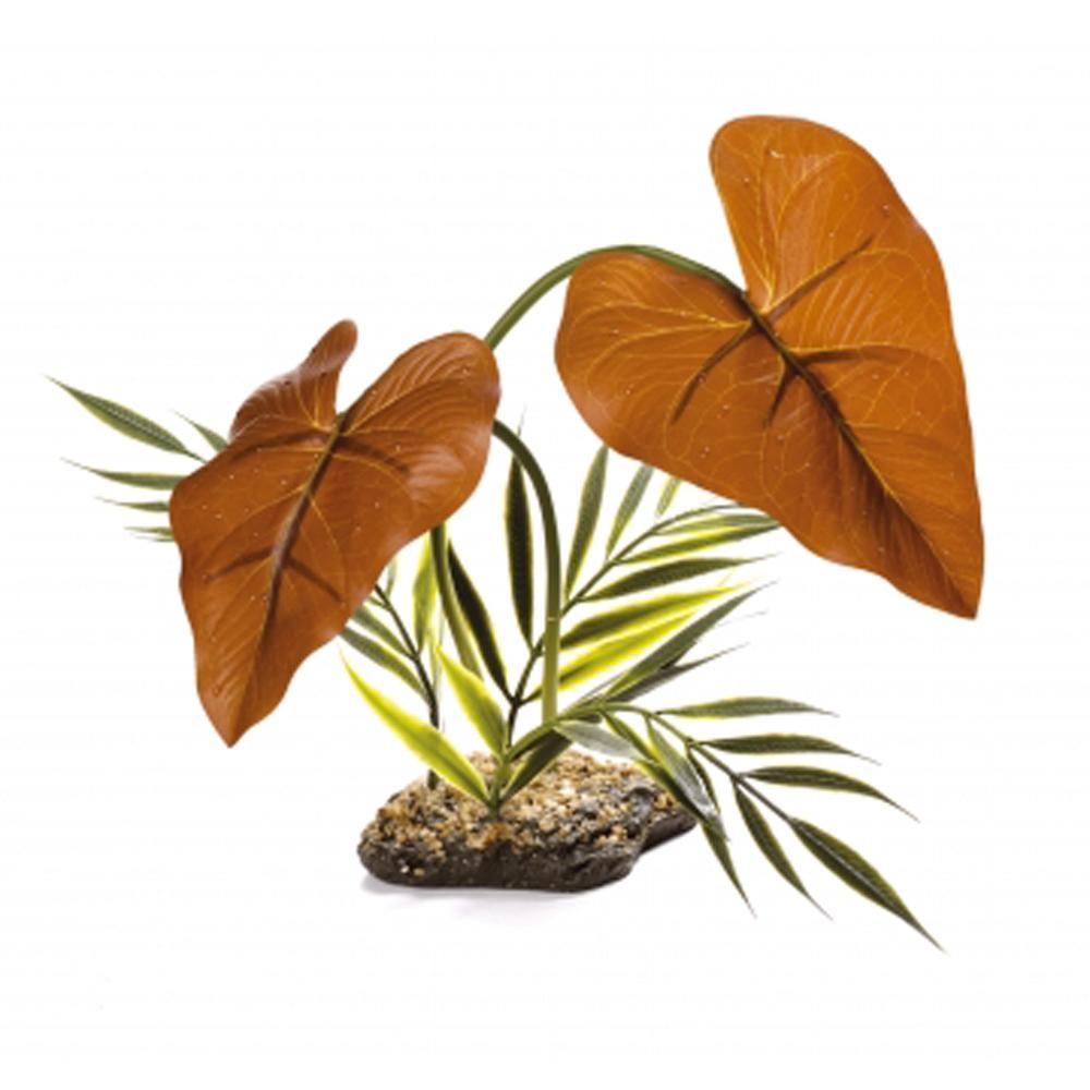 Komodo Rainforest Canopy 38cm-Pet n Pony-Komodo